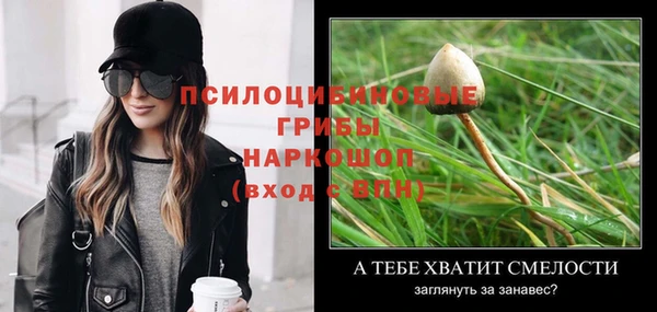 прущая мука Арсеньев