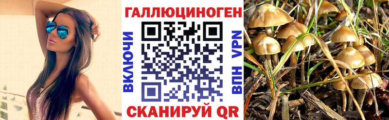 купить  цена  МЕГА ссылка  Псилоцибиновые грибы Cubensis  Моздок 